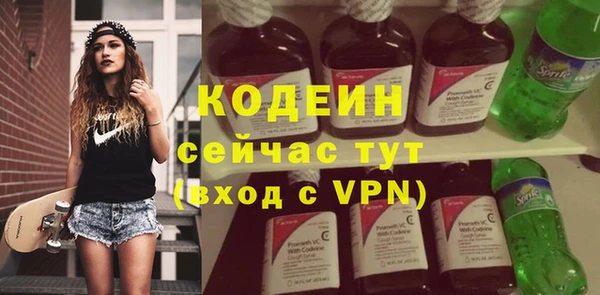 индика Краснотурьинск